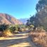  Land for sale in Santiago, Santiago, Santiago, Santiago