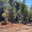  Terreno (Parcela) en venta en Araucanía, Pucón, Cautín, Araucanía