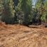  Terreno (Parcela) en venta en Araucanía, Pucón, Cautín, Araucanía