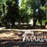  Terreno (Parcela) en venta en Araucanía, Villarrica, Cautín, Araucanía