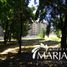 Terreno (Parcela) en venta en Araucanía, Villarrica, Cautín, Araucanía