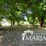  Terreno (Parcela) en venta en Araucanía, Villarrica, Cautín, Araucanía