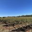  Terreno (Parcela) en venta en Bulnes, Diguillín, Bulnes