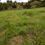  Land for sale in Los Santos, Santander, Los Santos