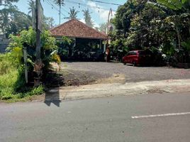  Land for sale in Abiansemal, Badung, Abiansemal