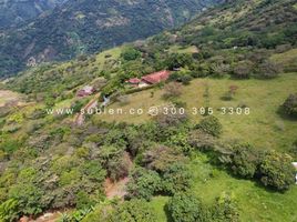  Terreno (Parcela) en venta en Sopetran, Antioquia, Sopetran