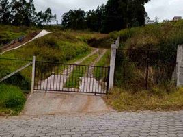  Land for sale in Conocoto, Pichincha, Conocoto