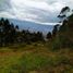  Land for sale in Conocoto, Pichincha, Conocoto