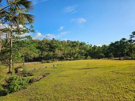  Land for sale in Sikatuna, Bohol, Sikatuna