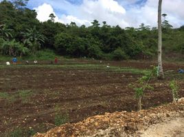  Land for sale in Borbon, Cebu, Borbon