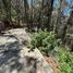  Land for sale in Mineral Del Chico, Hidalgo, Mineral Del Chico