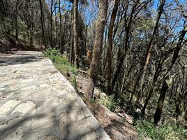 Land for sale in Mineral Del Chico, Hidalgo, Mineral Del Chico