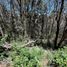  Land for sale in Mineral Del Chico, Hidalgo, Mineral Del Chico