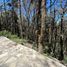  Land for sale in Mineral Del Chico, Hidalgo, Mineral Del Chico