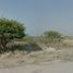  Land for sale in Actopan, Hidalgo, Actopan, Hidalgo