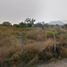  Land for sale in Actopan, Hidalgo, Actopan, Hidalgo