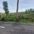  Land for sale in Cebu Central Visayas, Ronda
