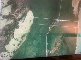  Grundstück zu verkaufen in Othon P Blanco, Quintana Roo, Othon P Blanco