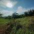  Land for sale in Cavite, Calabarzon, Tagaytay City, Cavite