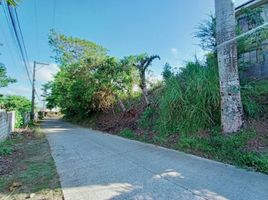  Land for sale in Cavite, Calabarzon, Tagaytay City, Cavite