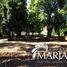  Land for sale in Cautin Araucania, Villarrica, Cautin, Araucania