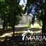  Land for sale in Cautin Araucania, Villarrica, Cautin, Araucania