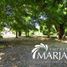  Land for sale in Cautin Araucania, Villarrica, Cautin, Araucania