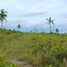  Land for sale in Moalboal, Cebu, Moalboal