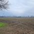  Terreno (Parcela) en venta en Bulnes, Diguillín, Bulnes