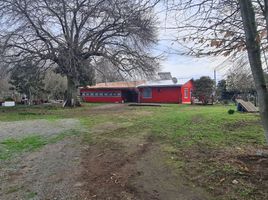  Terreno (Parcela) en venta en Bulnes, Diguillín, Bulnes