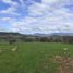  Terreno (Parcela) en venta en Hualane, Curicó, Hualane