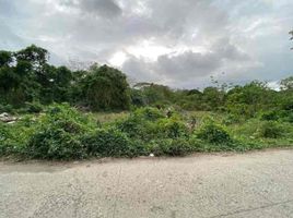  Land for sale in Batangas, Calabarzon, San Juan, Batangas