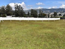  Land for sale in Alangasi, Quito, Alangasi