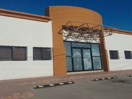 600 m² Office for rent in Sonora, Hermosillo, Sonora