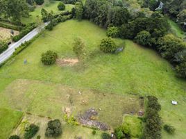  Terreno (Parcela) en venta en Rionegro, Antioquia, Rionegro, Antioquia, Colombia