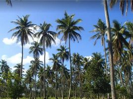  Land for sale in Masbate, Bicol, Monreal, Masbate