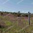  Land for sale in Punilla, Cordoba, Punilla