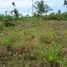  Land for sale in Moalboal, Cebu, Moalboal