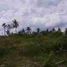  Land for sale in Moalboal, Cebu, Moalboal