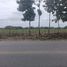  Land for sale in Vinces, Los Rios, Vinces, Vinces