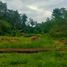  Land for sale in Bohol, Central Visayas, Corella, Bohol