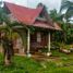  Land for sale in Corella, Central Visayas, Corella