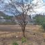  Land for sale in Tarimbaro, Michoacan, Tarimbaro