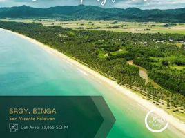  Land for sale in Palawan, Mimaropa, Palawan, Mimaropa