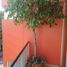 Appartement 2 chambre à vendre à Alvaro Obregon, Mexico City, Alvaro Obregon