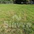  Land for sale in Donato Guerra, Mexico, Donato Guerra