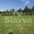  Land for sale in Donato Guerra, Mexico, Donato Guerra