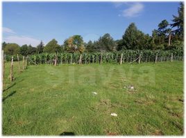  Land for sale in Donato Guerra, Mexico, Donato Guerra