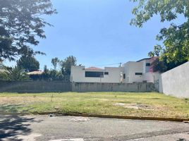  Terreno (Parcela) en venta en San Gregorio Atzompa, Puebla, San Gregorio Atzompa