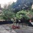  Terreno (Parcela) en venta en Quezon City, Metro Manila, Quezon City, Eastern District, Metro Manila